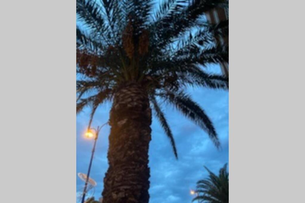 Escapade Au Port Διαμέρισμα Ιέρ Εξωτερικό φωτογραφία